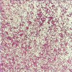 "LAVISH" DUOCHROME EYESHADOW