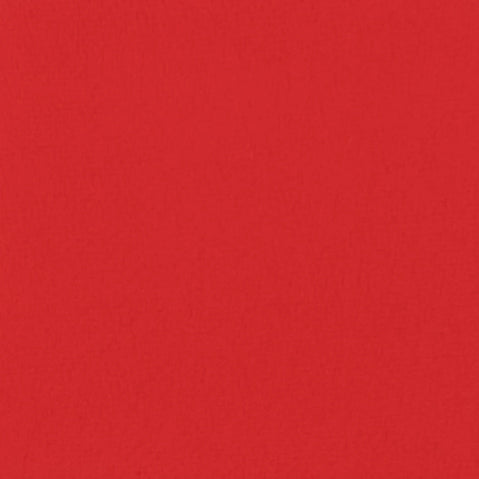 "RUBY" MATTE EYESHADOW