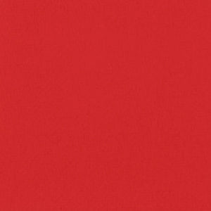 "RUBY" MATTE EYESHADOW