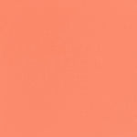 SOLD OUT - "TAKEOVER" MATTE EYESHADOW