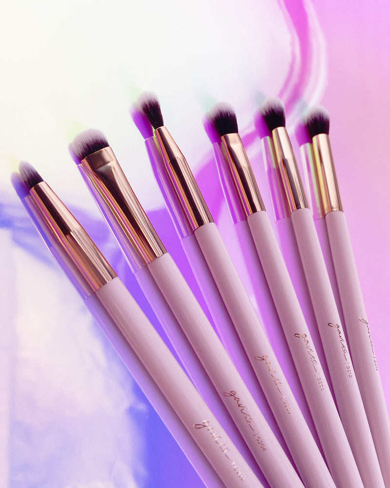 6 PIECE EYE BRUSH SET