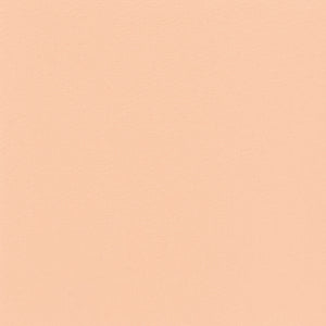 "DIVINE" MATTE EYESHADOW