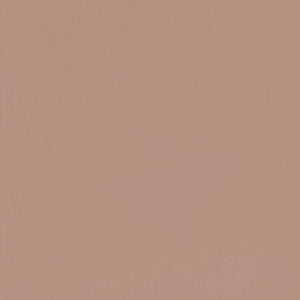 "DRIVEN" MATTE EYESHADOW