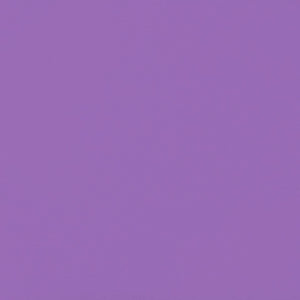 SOLD OUT - "EVOLUTION" MATTE EYESHADOW