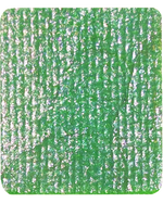 "MAGIC FOREST" SINGLE LINER PAN (DUOCHROME)
