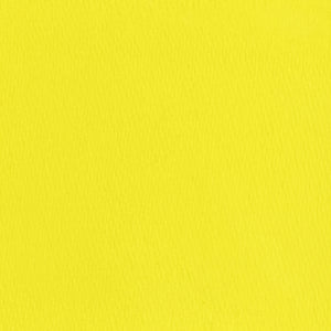 "SUNNY" MATTE EYESHADOW